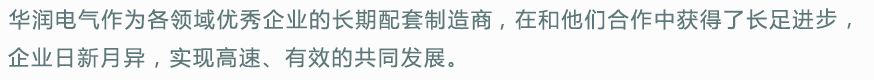 华润电气的客户来自各个领域：装备制造业、医疗领域、电力能源、电子电器、纺织、通信移动、电厂、石化等等（下面列举的是华润的部分客户）